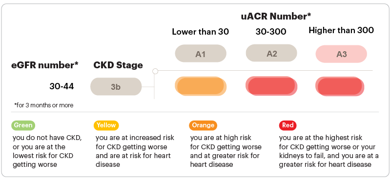 Graphic about GFR and uACR numbers Stage 3b