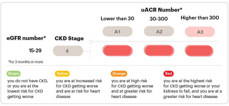 Graphic about GFR and uACR numbers Stage 4