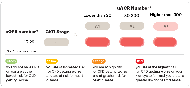 Stage Chronic Kidney Disease CKD National Kidney 44 OFF