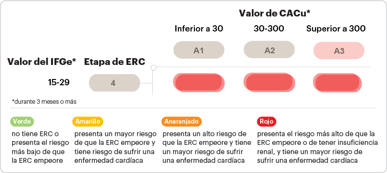 gráfico sobre los números IFGe y CACu de la ERC en etapa 4