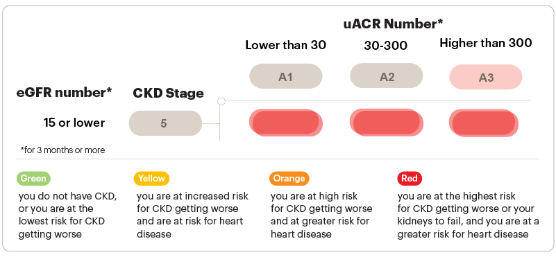 Graphic about GFR and uACR numbers Stage 5