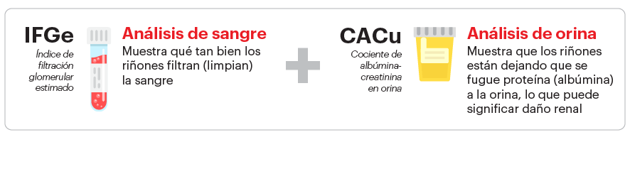 Tubo de análisis de sangre y análisis de orina