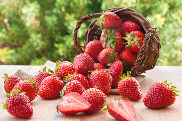 Tipped over basket of ripe strawberries