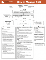 How to Manage CKD? - Clinical Practice Algorithm