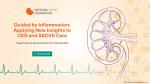 Kidney Graphic, Guided by Inflammation: Applying New Insights to CKD and ASCVD Care, Supported by an educational grant from Novo Nordisk