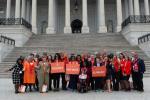 Group of advocates in front of congress.