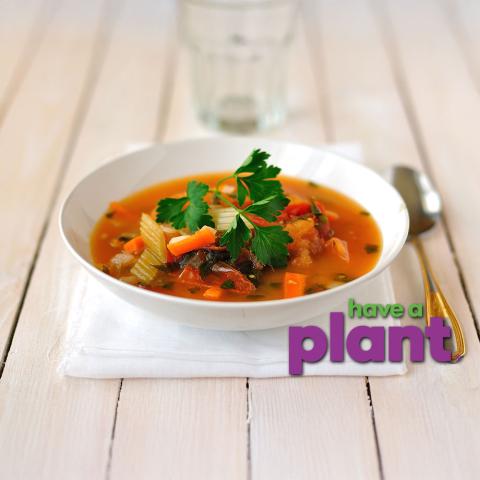 veggie minestrone soup, have a plant logo