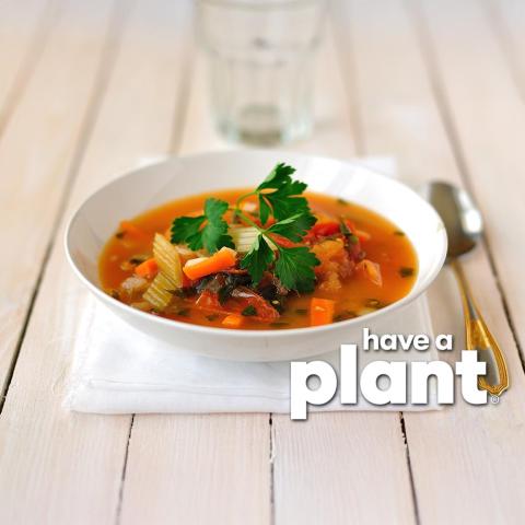 veggie minestrone soup, have a plant logo