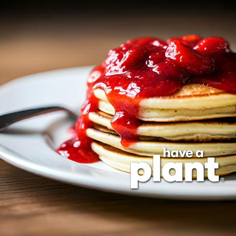Pancakes with strawberry sauce, Have a Plant logo