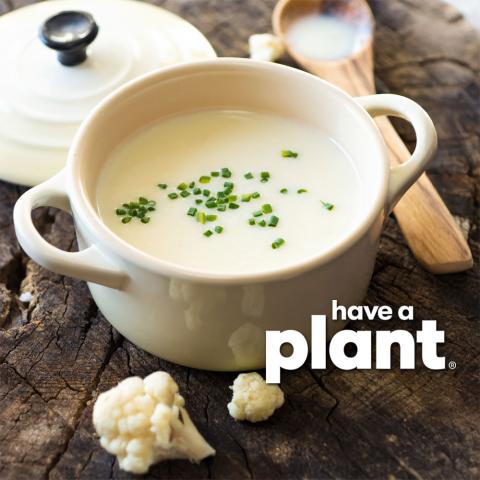 Cauliflower soup, Have a Plant logo