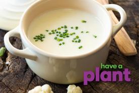 Creamy cauliflower herb soup with potatoes and spices, Have a Plant sponsor logo