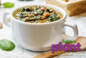 Hearty one-pot lentil soup with Swiss chard & kale, Have a Plant sponsor logo