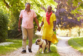 Happy couple walking their dog in the sun