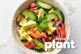 Avocado Salad, Have a Plant logo
