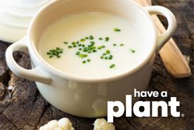 Cauliflower soup, Have a Plant logo