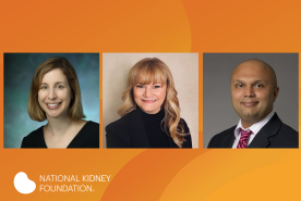 Board of Director Update 11426