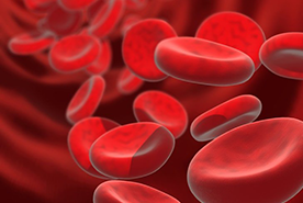 Anemia