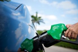 Una mano sujeta la boquilla verde de un surtidor de gasolina mientras llena el depósito de un coche azul, con una palmera y un cielo azul al fondo.