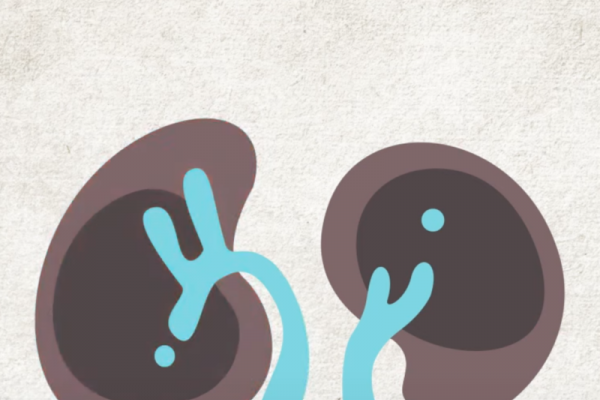 NKF Launches Educational Animated Video Series on Chronic Diseases |  National Kidney Foundation