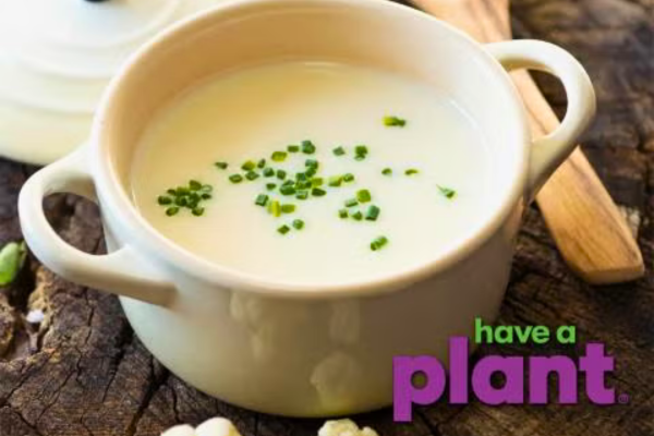 Bowl of Cauliflower Herb Soup
