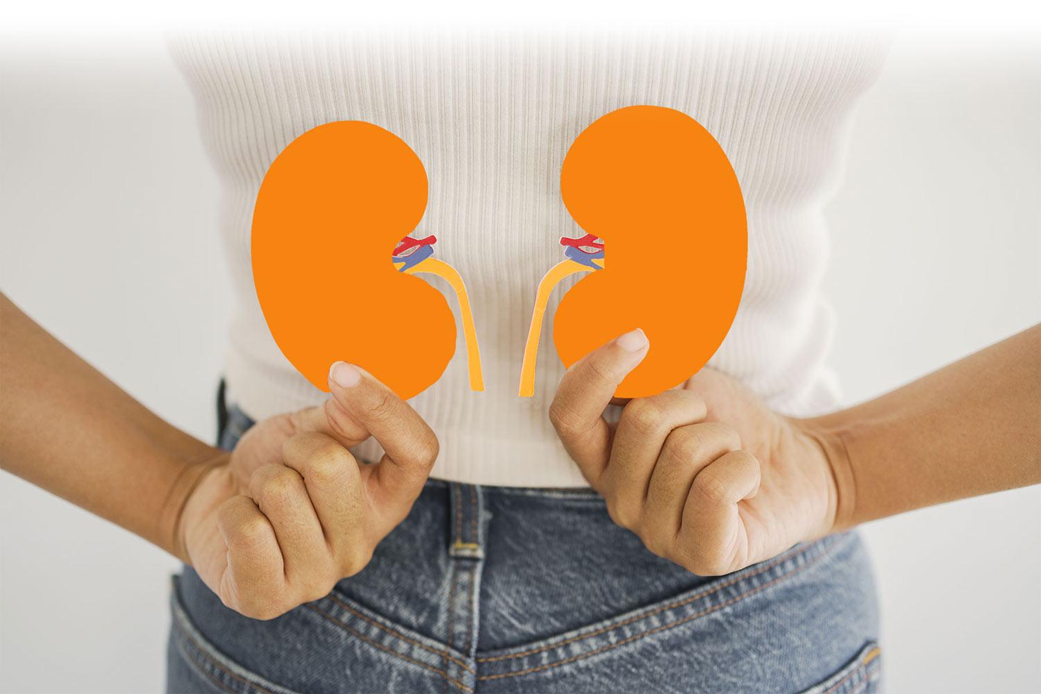 Someone holding up a kidney diagram in front of their back