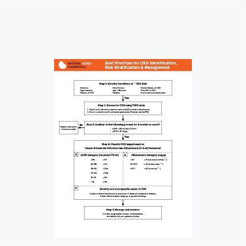 Clinical Tools PDF thumbnail