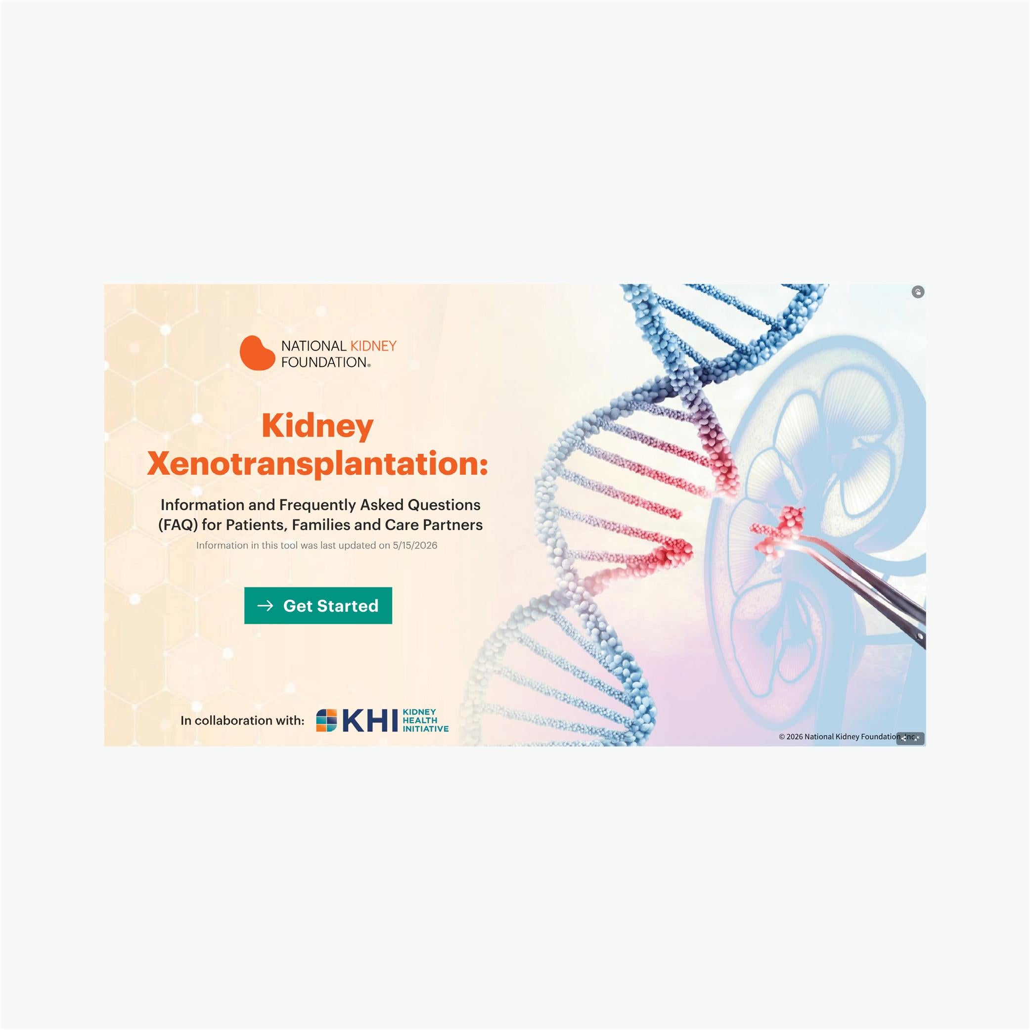 Kidney Xenotransplantation Thumbnail
