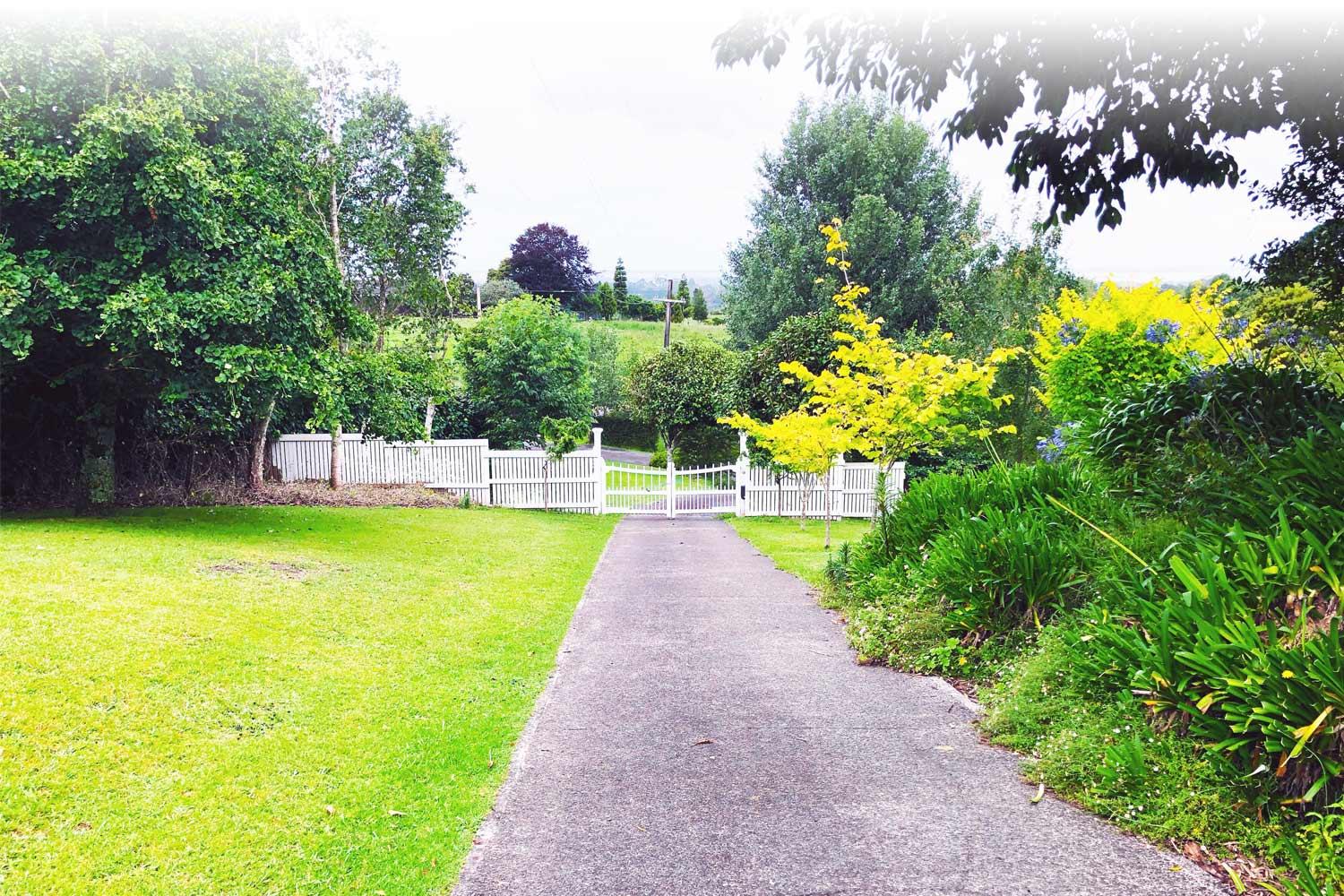 View of a driveway leading to property with nature all around