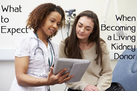 The best option for a donor organ would be