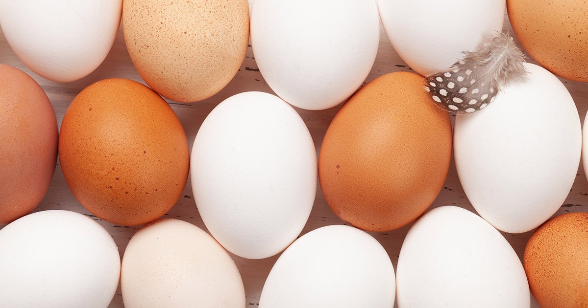 White and Brown Eggs